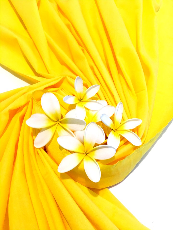 Plumeria Yellow Cloth