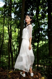Outdoor wood nature