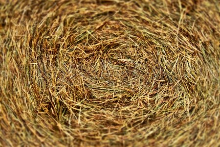 Landscape round bales bale