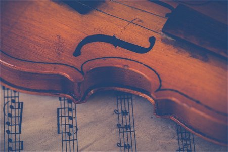 Violin Musical Instrument photo