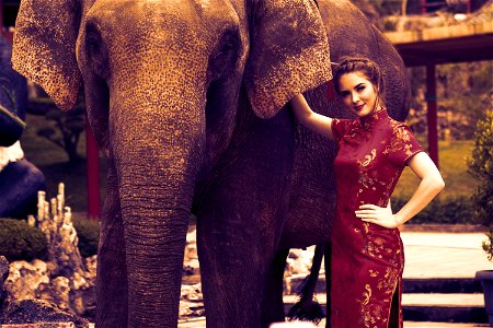 Woman Elephant photo