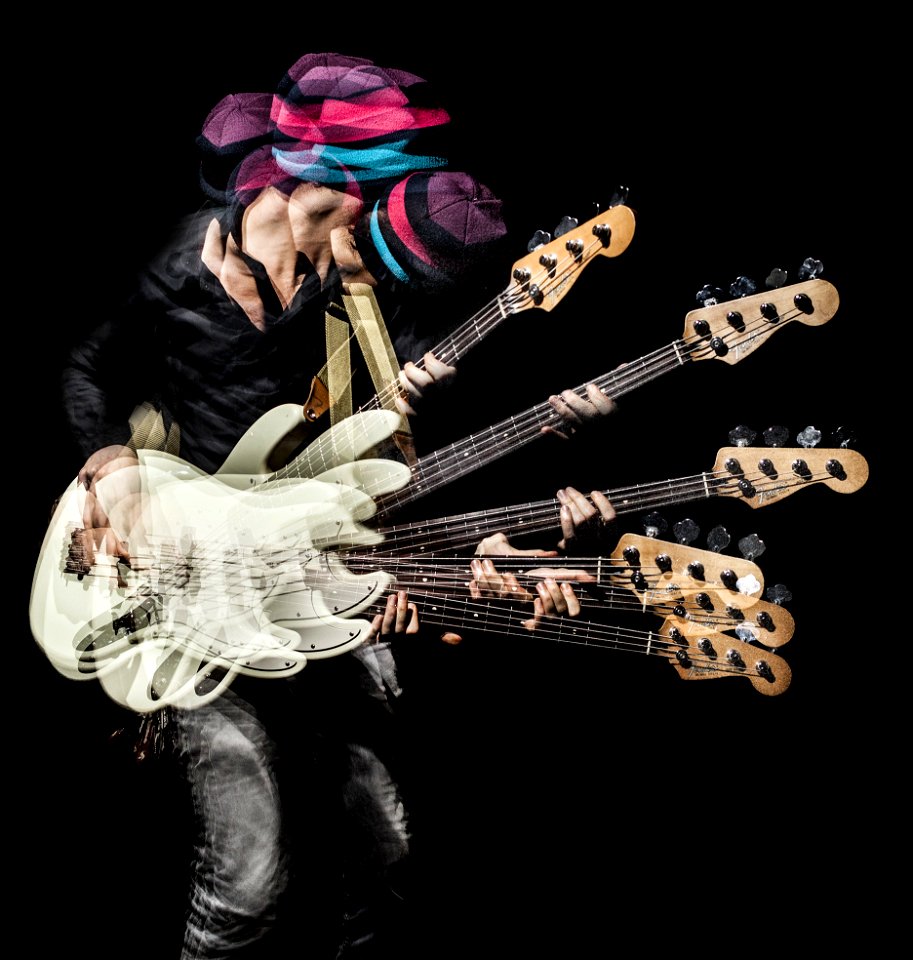 Bass Guitar Bassist