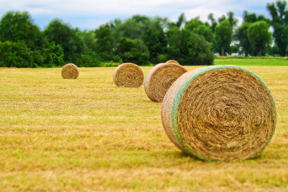 Landscape round bales bale