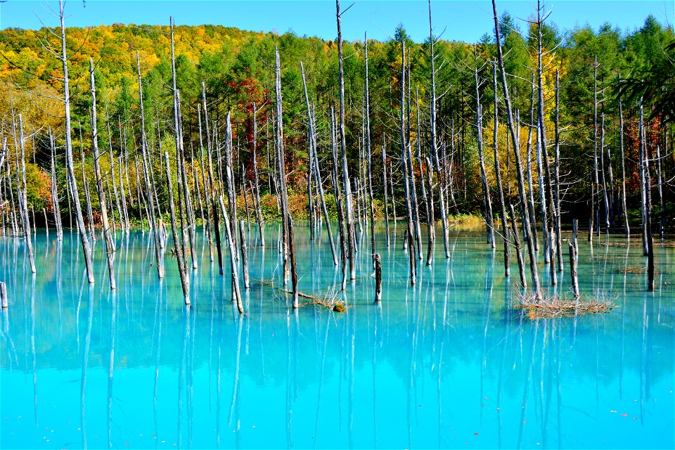 Blue Pond Biei Hokkaido photo