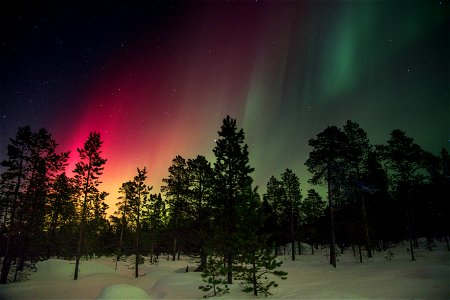 Aurora Northern Light