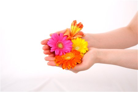 Flower Hands photo