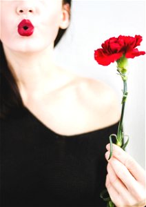 Woman Carnation Flower photo