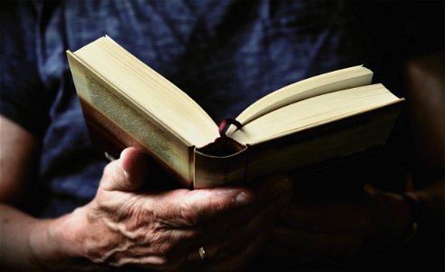 Reading Book