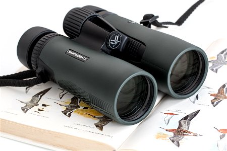 Binoculars Bird Watching photo