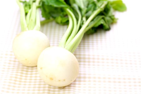 Turnip Vegetable