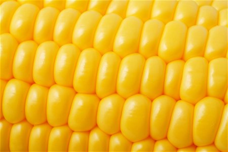 Corn Vegetable