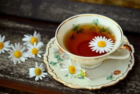 Chamomile Tea Cup photo