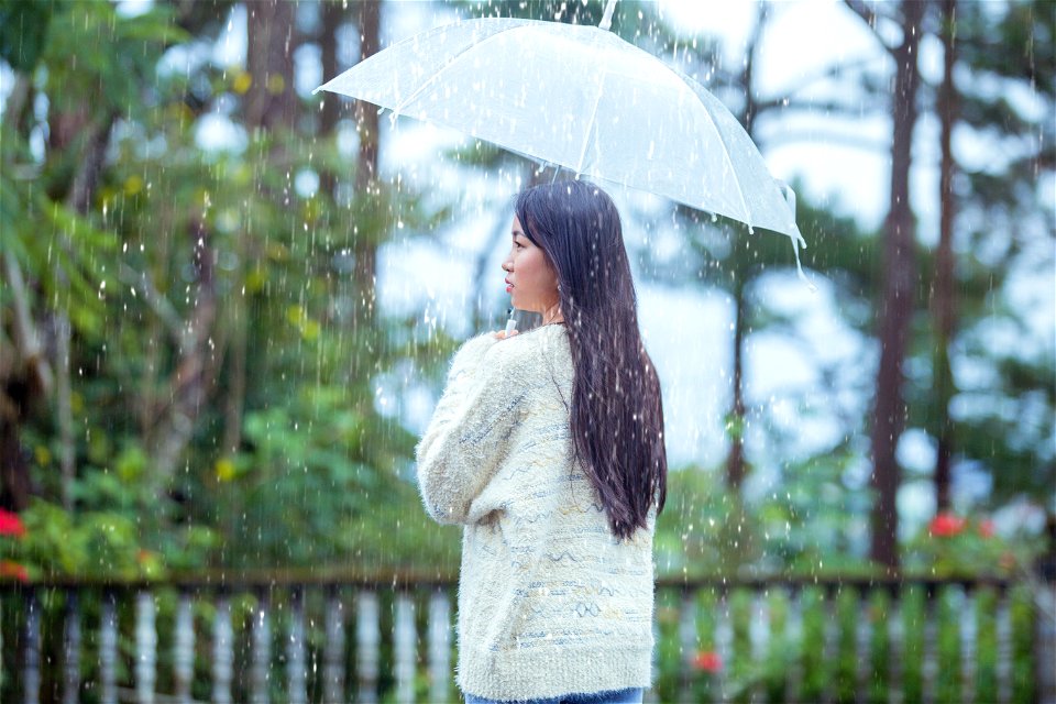 Woman Girl Rain Umbrella