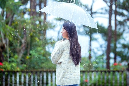 Woman Girl Rain Umbrella photo