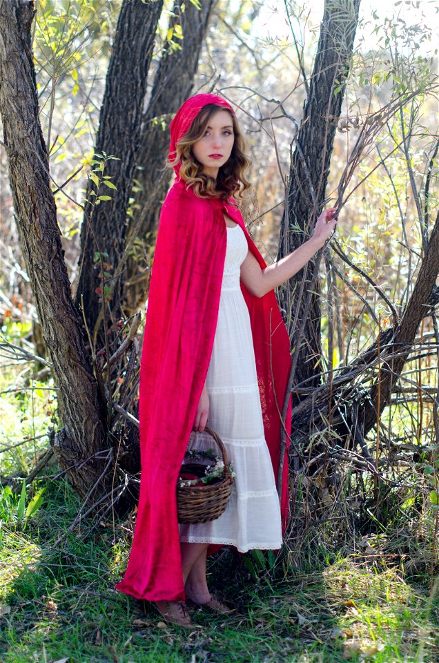 Little Red Riding Hood