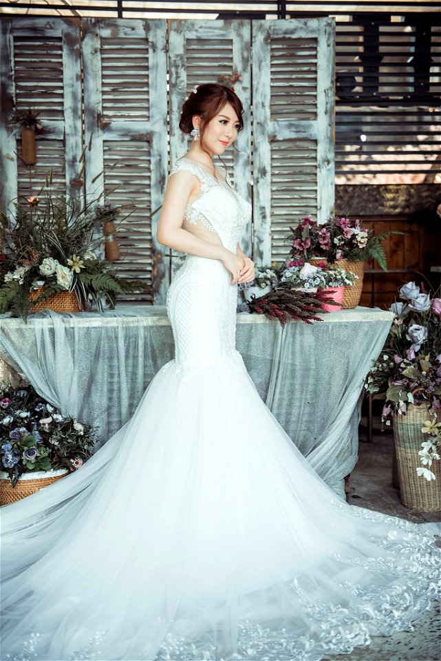 Bride Wedding Dress