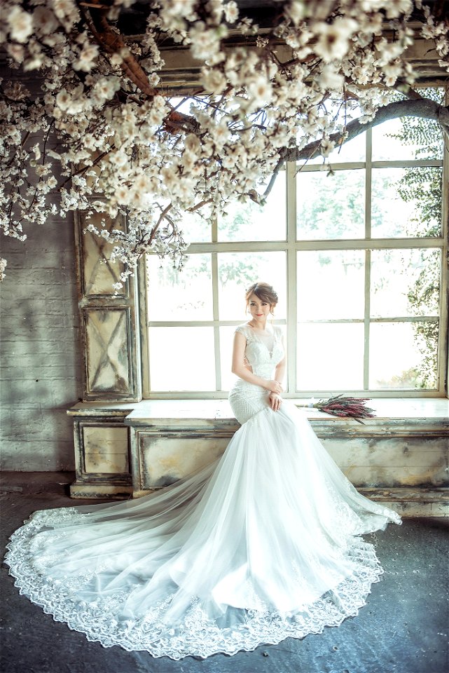 Bride Wedding Dress