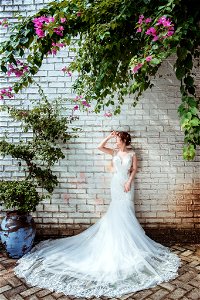 Bride Wedding Dress