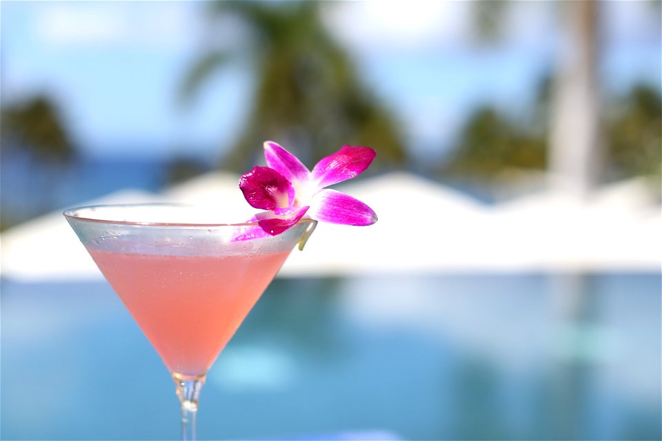 Cocktail Drink