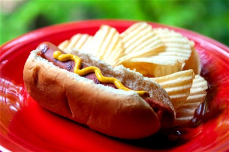Hot Dog Potato Chip photo