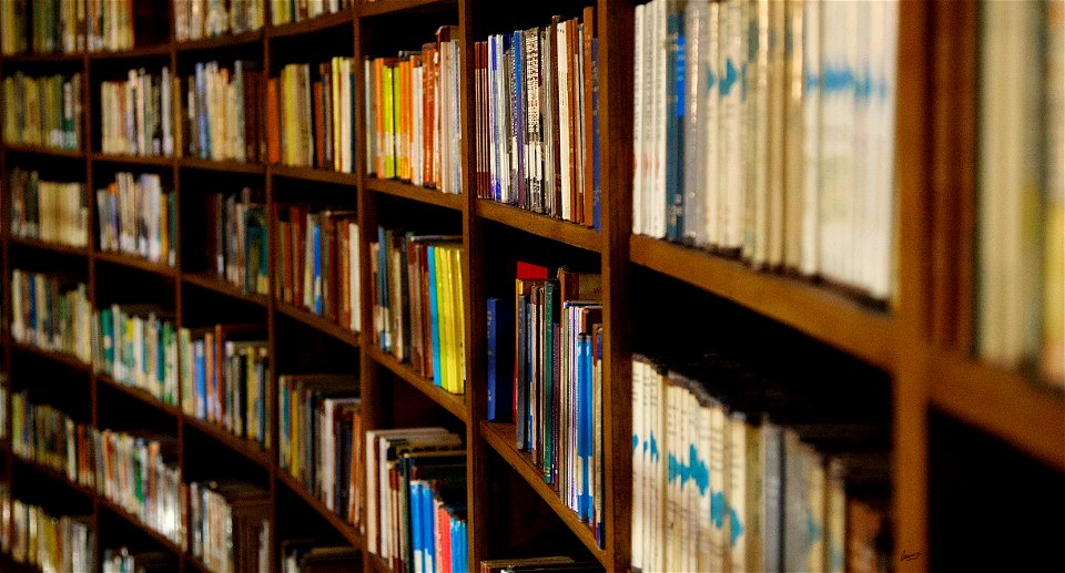 Picton Reading Room Bookshelf photo