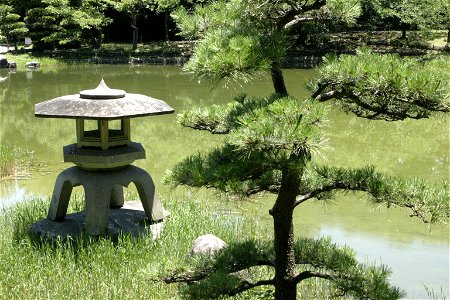 Japanese Garden Pond
