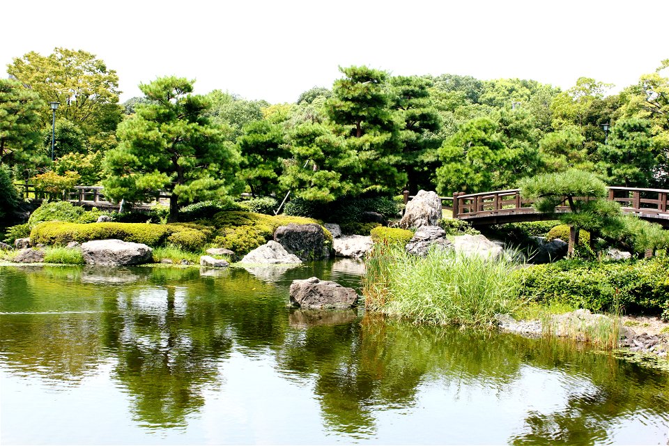 Japanese Garden Pond