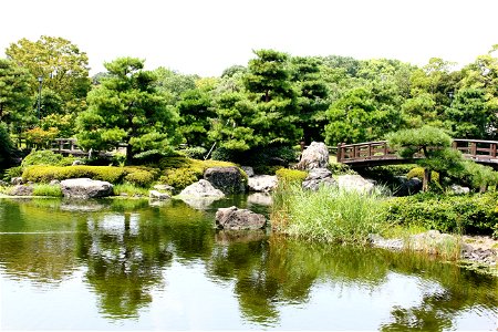 Japanese Garden Pond