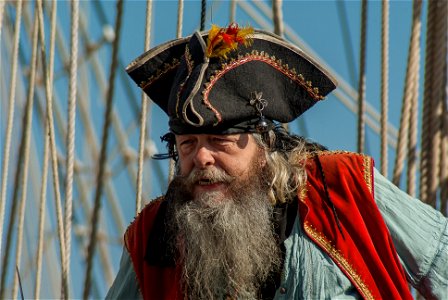 Piracy Pirates