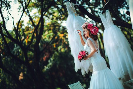 Wedding Dress Bride photo