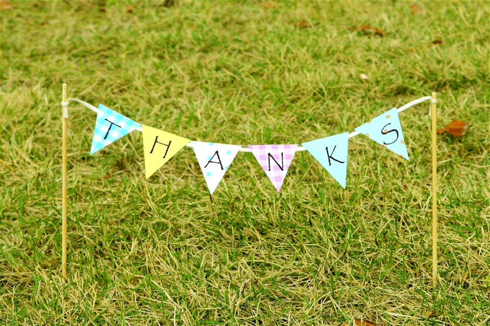 Thanks Flag Garland