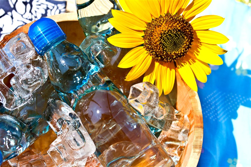 Ramune Lemonade Sunflower