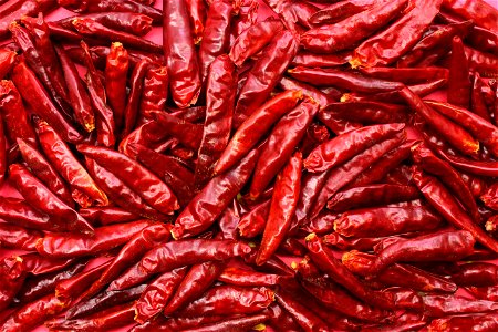 Chili Pepper Vegetable photo