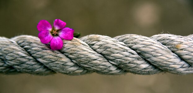 Banner strength rotated
