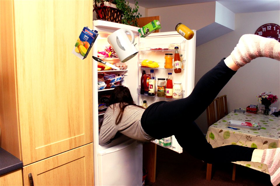 Refrigerator Woman