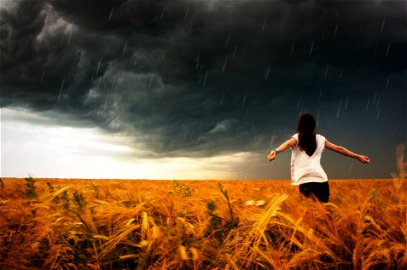 Field Wheat Rain Woman