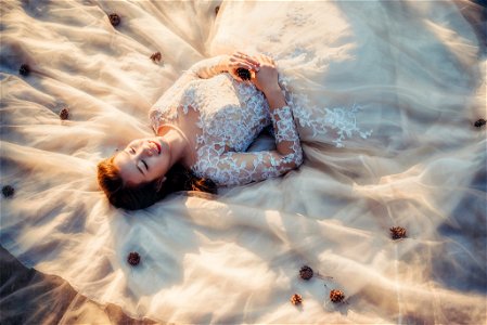 Wedding Dress Bride photo