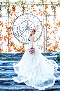 Wedding Dress Bride