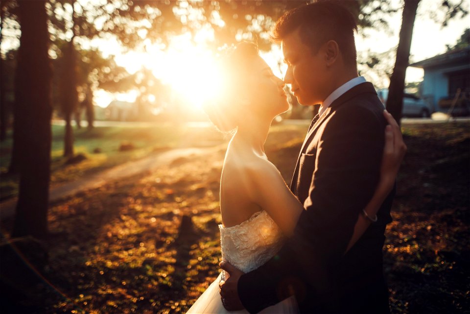 Wedding Bride Groom