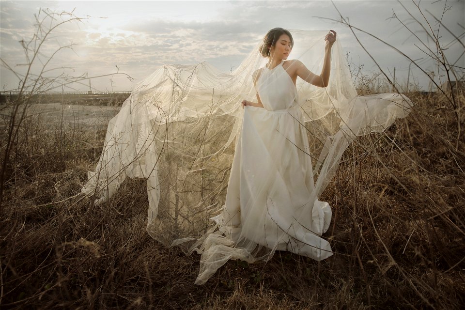Wedding Dress Bride