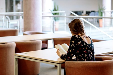Library Girl Reading Book photo