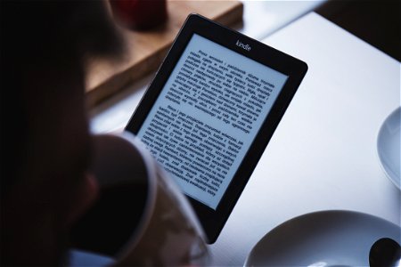 Kindle E Book Reader photo