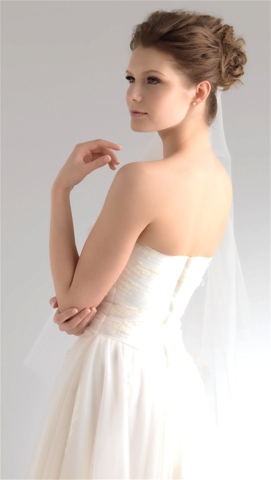 Bride Wedding Dress