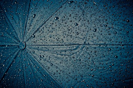 Umbrella Raindrop photo