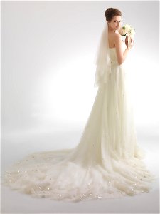 Bride Wedding Dress