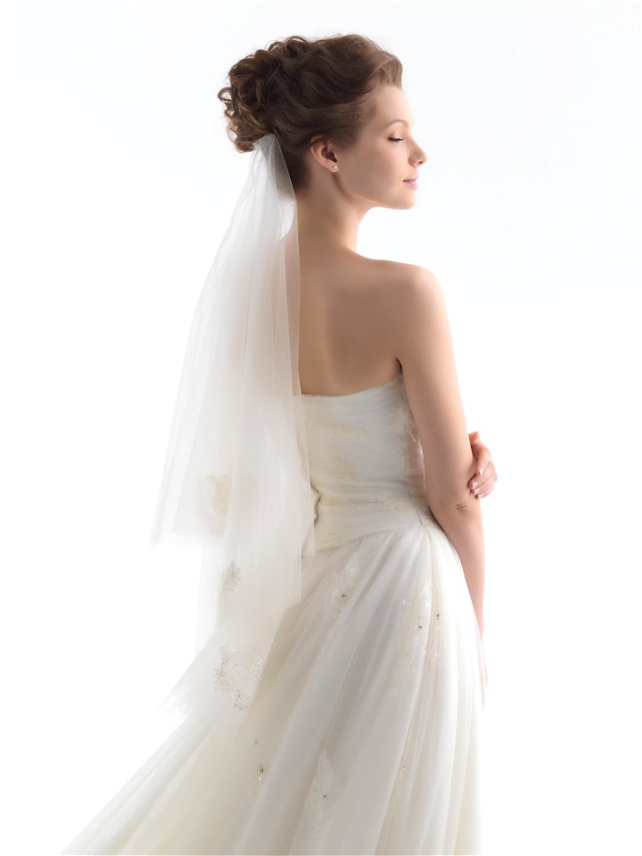 Bride Wedding Dress