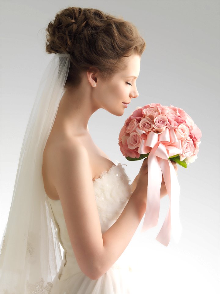 Bride Wedding Dress