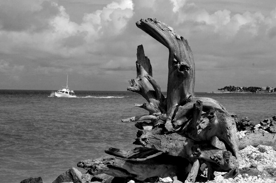 Shore coastline beach