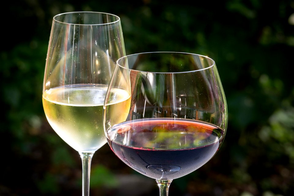 Wine Drink Glasses