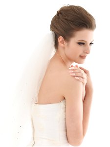 Bride Wedding Dress photo